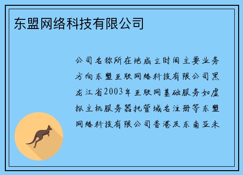 东盟网络科技有限公司